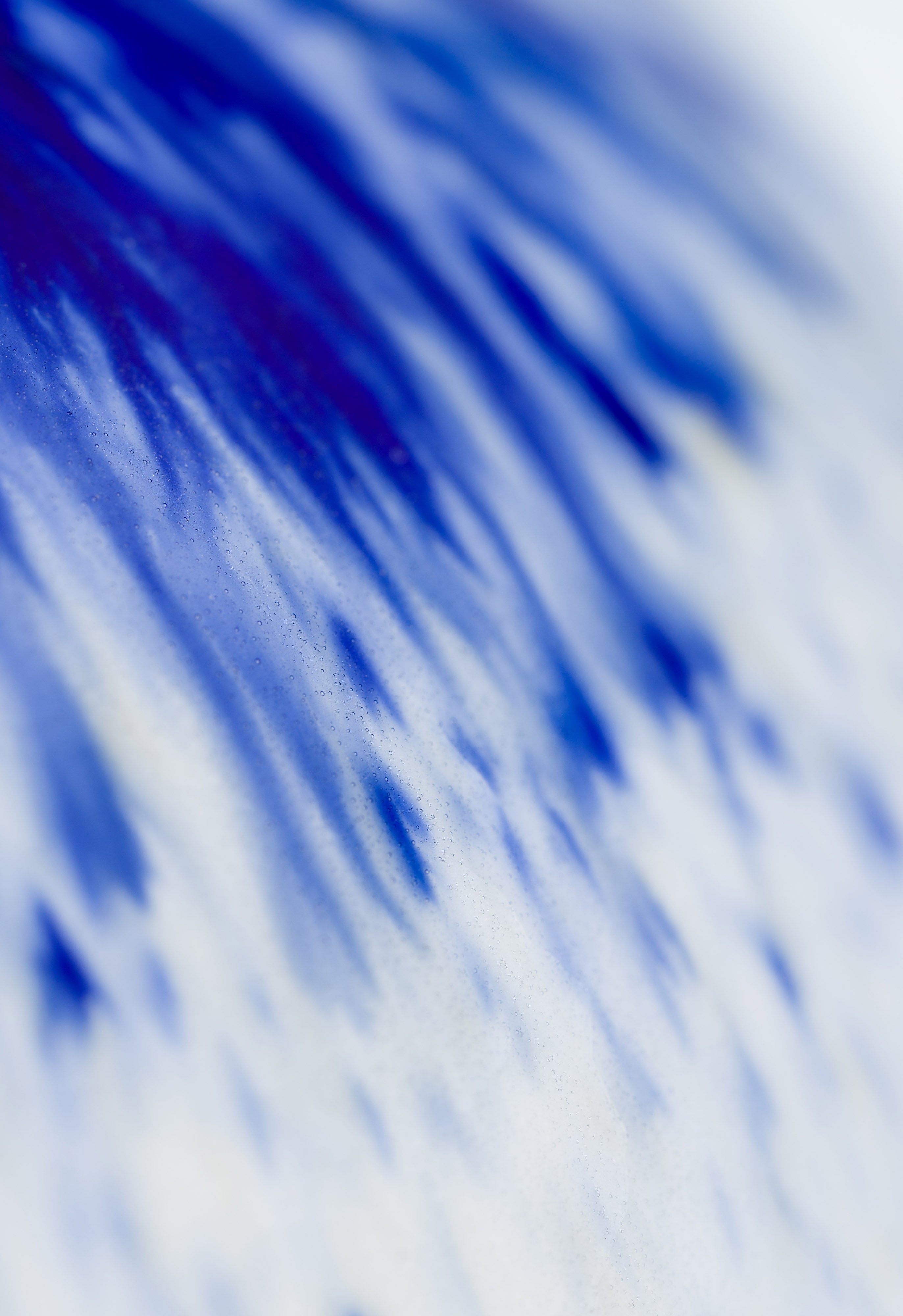 COBALT LOVE / VASE / A [II]