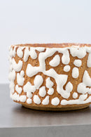 SHINO LOVE / TEA BOWL [VI]