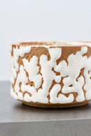 SHINO LOVE / TEA BOWL [VII]